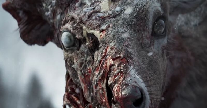 State of Decay 3’ün Zombi Hayvanları Fragmanı Konseptmiş, Oyun Onlarsız Çıkacak